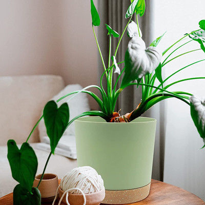 Крытые пластиковые баки зеленого растения с отверстиями дренажа и съемным основанием