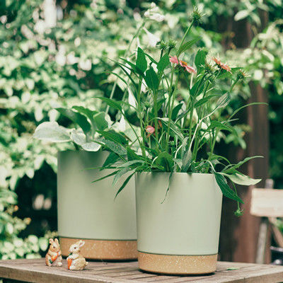 Крытые пластиковые баки зеленого растения с отверстиями дренажа и съемным основанием